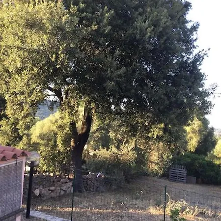 Lu Stazzu Di La Liccia Monti